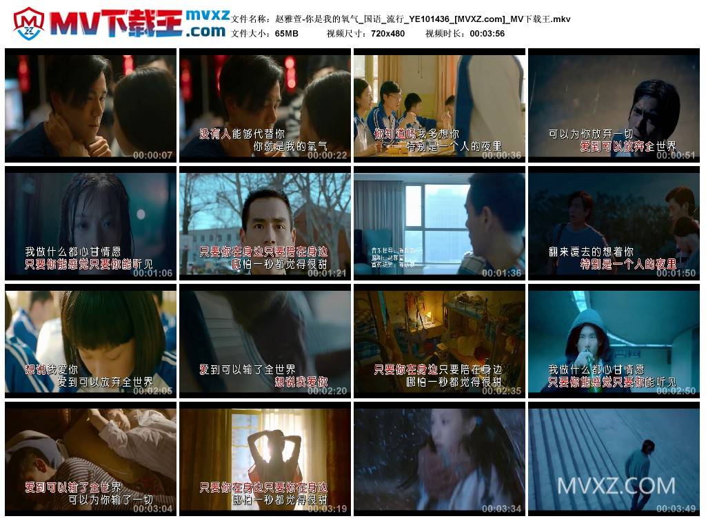 赵雅萱-你是我的氧气_国语_流行_YE101436